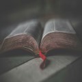 The importance of the resurrection (Easter Sunday)